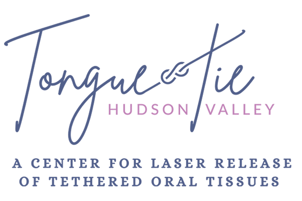 Hudson Valley TT logo